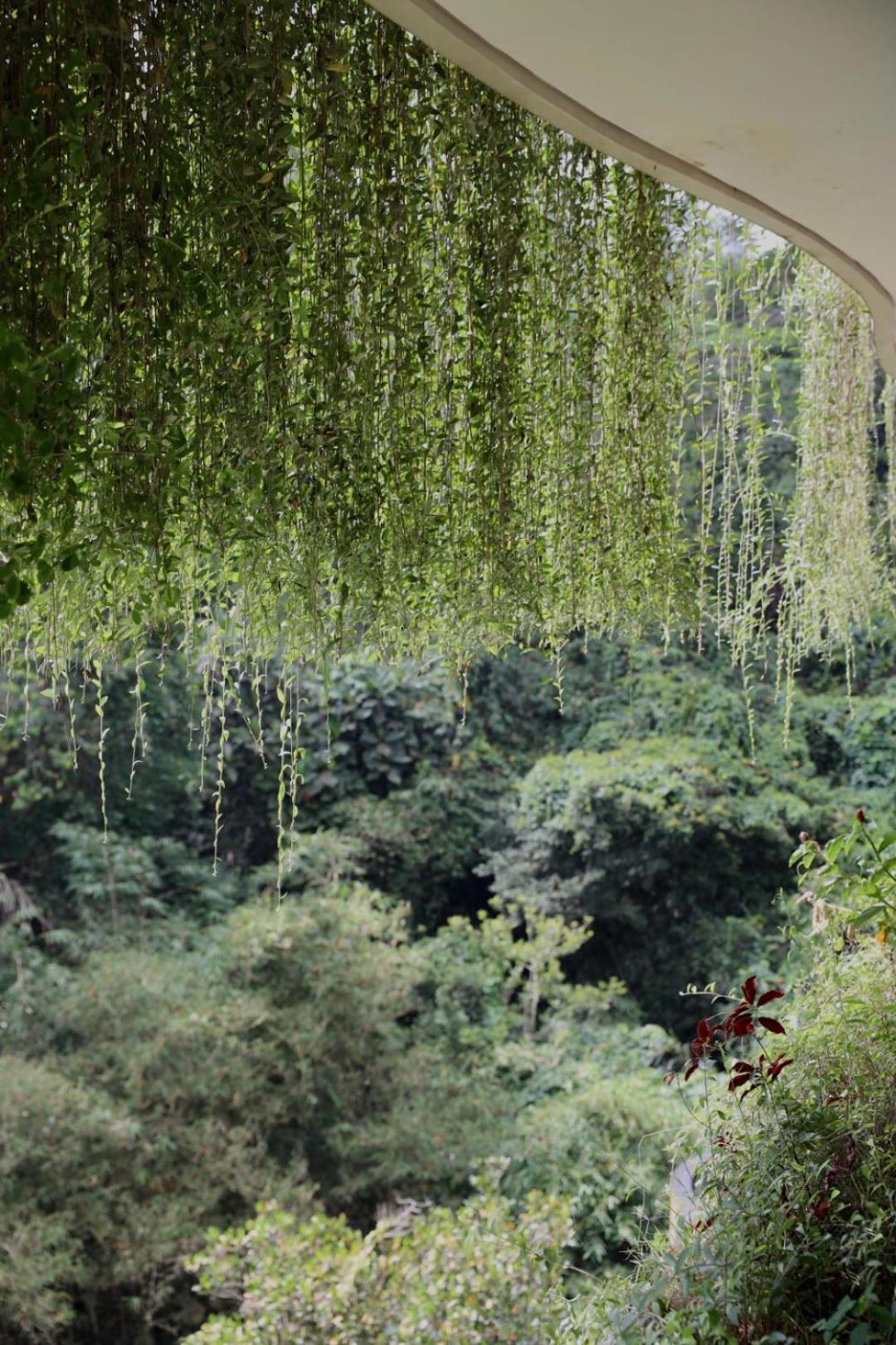 Kenran Resort Ubud By Soscomma Extérieur photo
